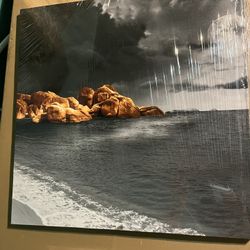 Beach  Canvas Art
