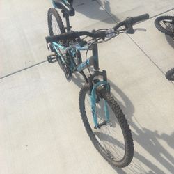 Youth/Women’s bike 