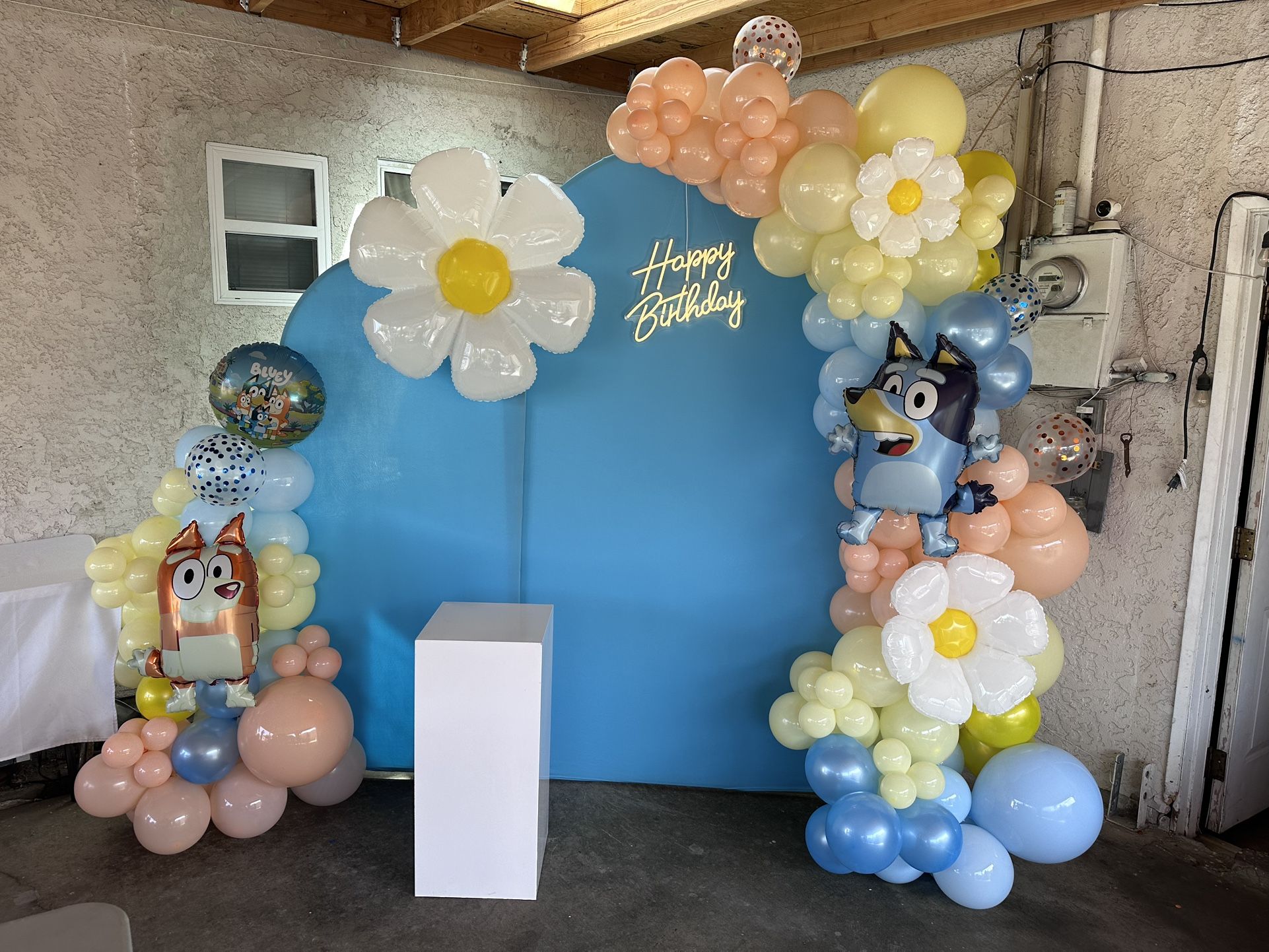 Balloon Arch Decoration