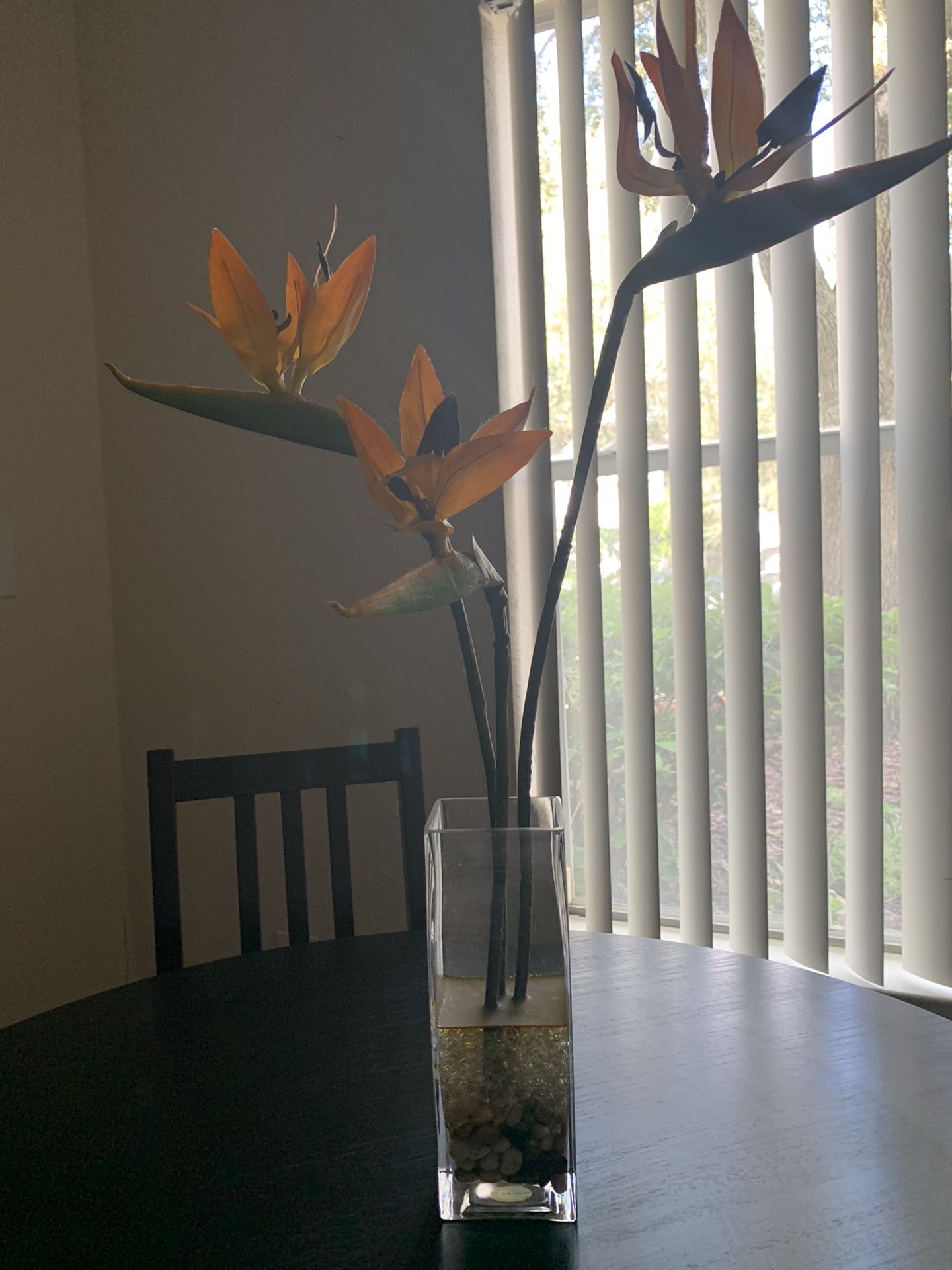 Tropical Flowers in Glass Vase