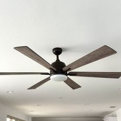 Ceiling Fan with Lights