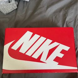 Women’s Nike Low Dunks Size 6 Brown & Beige