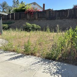 Lawn Mow*ing