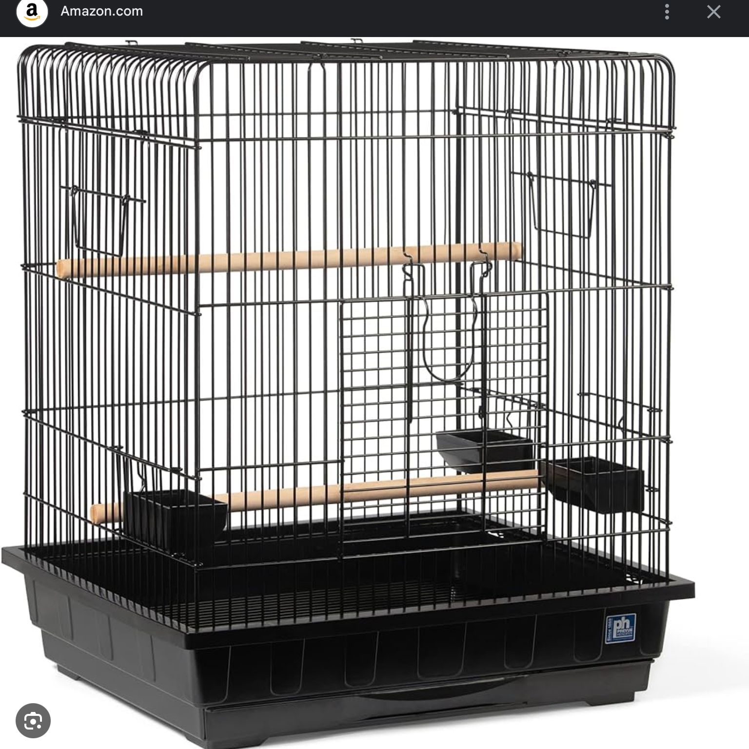 Bird Cage
