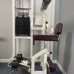 Cyber Abdominal Machine