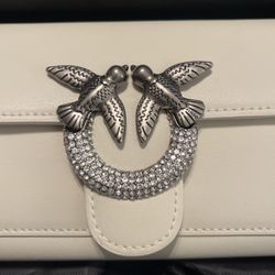 Pinko clutch bag
