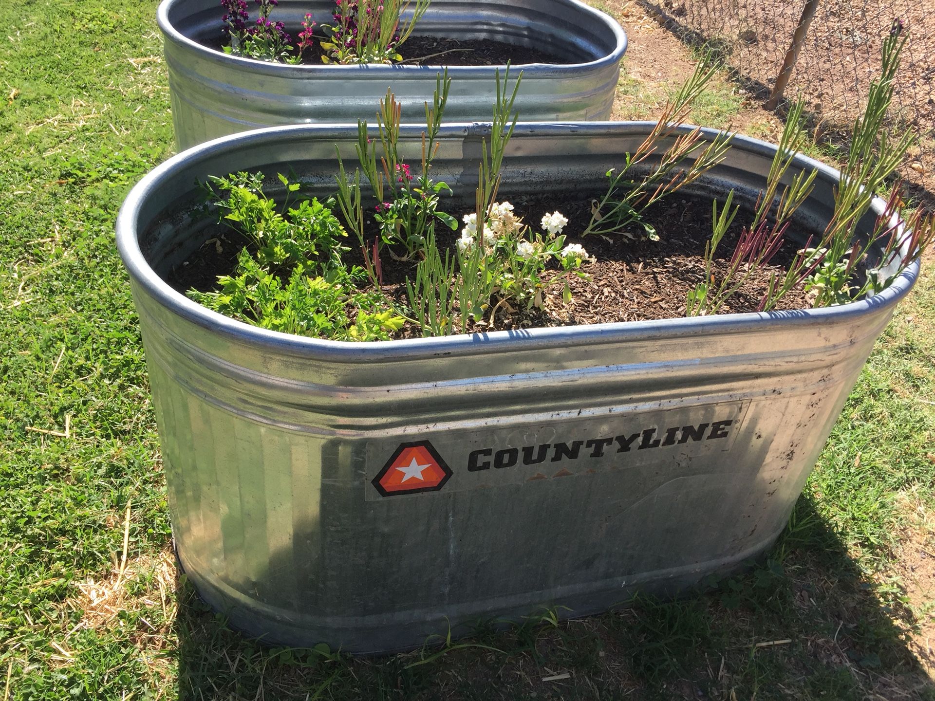 Raised Bed Galvanized Stock Tank Planter Jennifer Rizzo, 53 OFF
