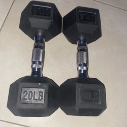 Dumbbells (25 Pounds)