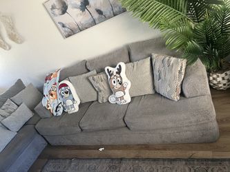 Light Grey Couches 
