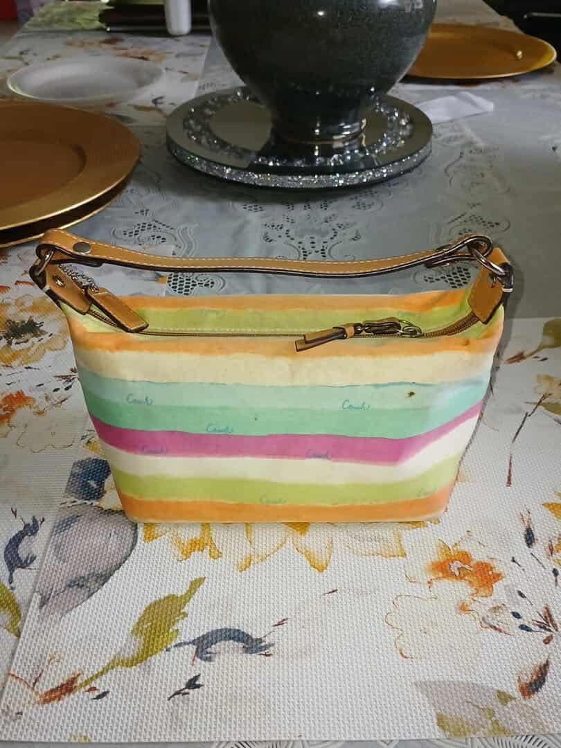 Small Original COACH Clutch Purse