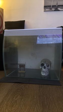 Fish tank