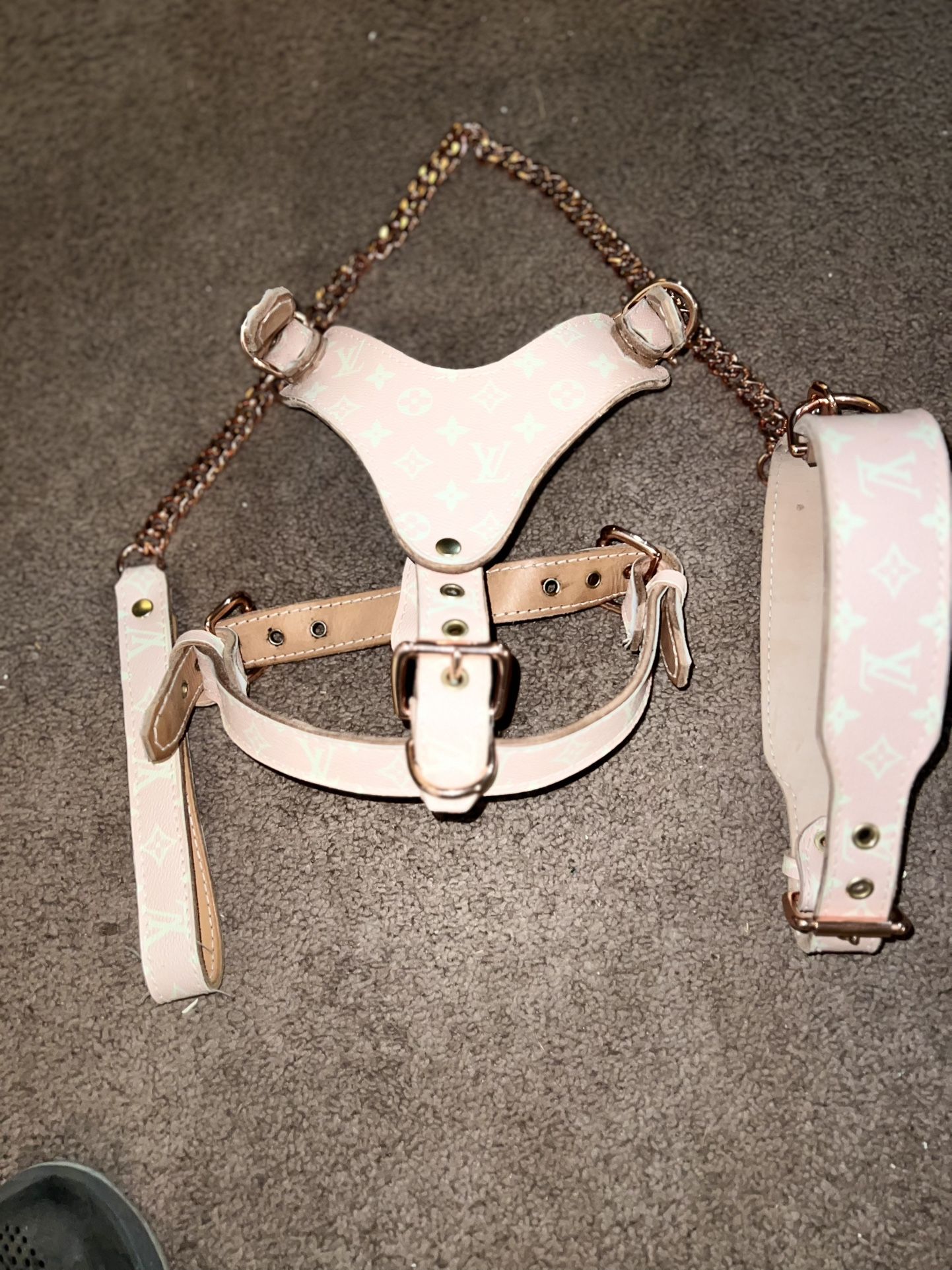 DogCollar