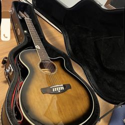  12 String Guitar 