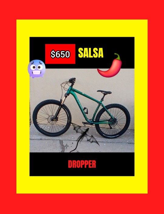 🌶 SALSA MOUNTAIN BIKE