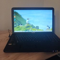 TOSHIBA Laptop