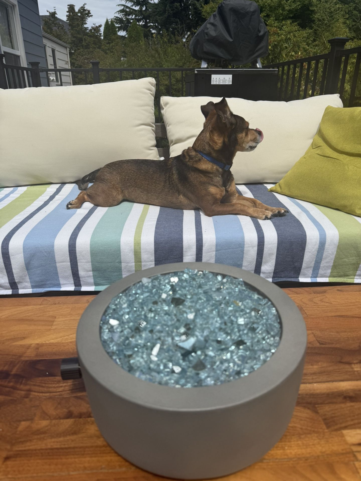 Blue- Glass Fire Rocks