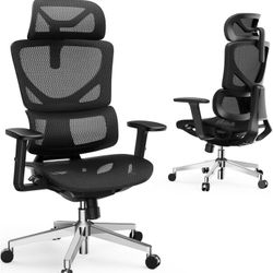 OdinLake Ergonomic Office Chair with WireControl™ Mechanism, 4-Position Adjustable Backrest