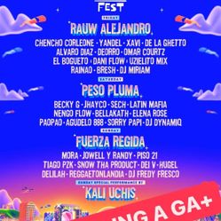 Baja Fest 2024 wrist bands - GA+