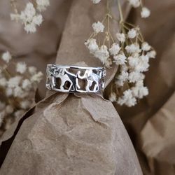 Rings / Anillos 