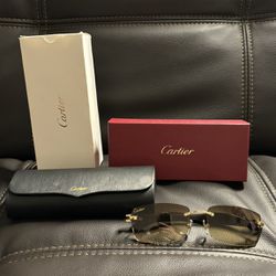 Cartier Buffalo Glasses