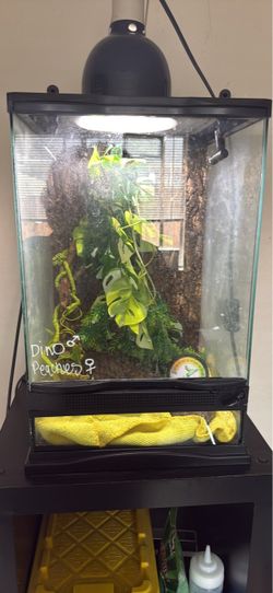 “Crested gecko” enclosure