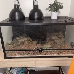 Reptile Tank + Desk