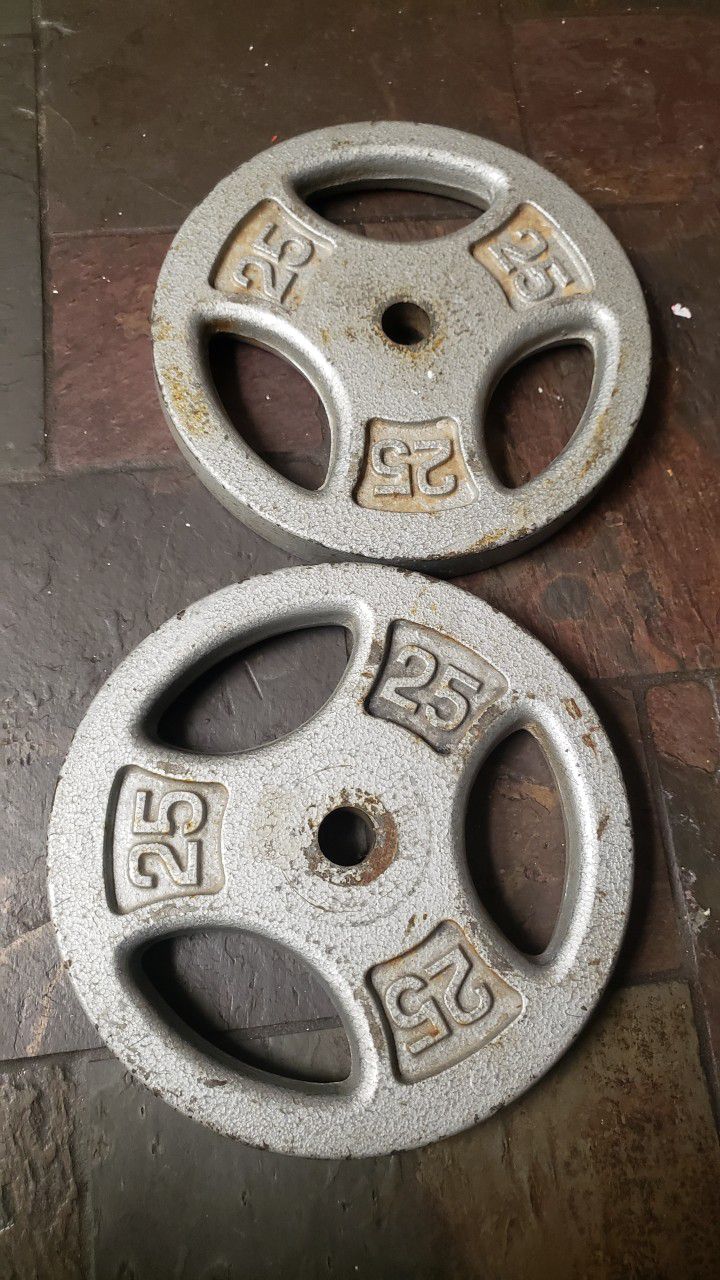 Set Of 2 25 Lb Metal Plates. 25 Pounds Each For Barbell