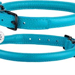 Free Leash /Leather Rolled Collar/QR Code Tag (Lost/found Tag),free Leash Included