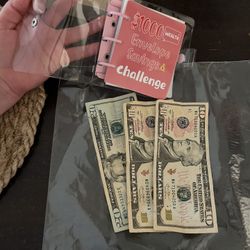 You Can Save $1000💰 With This Cute Mini Book 