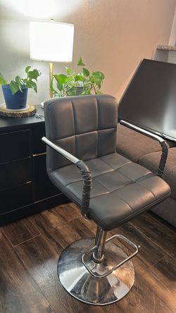 Salon Hydraulic Chair