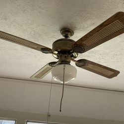 Vintage Fan