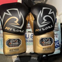 Rival Boxing Gloves 