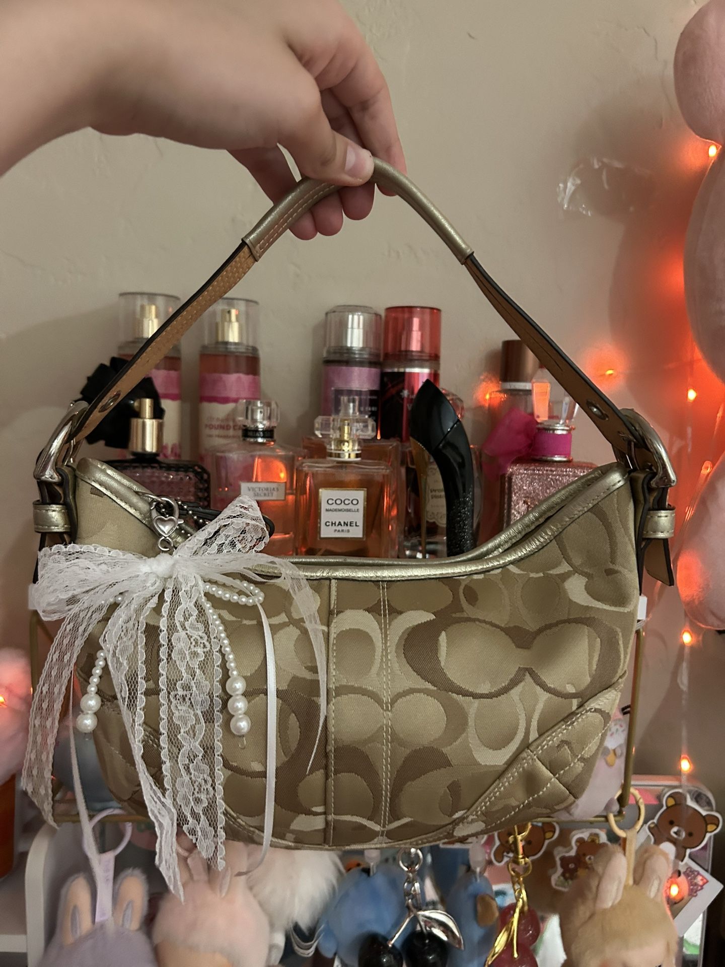 Coach Hobo Bag