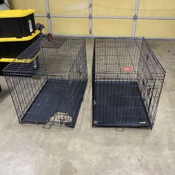 Two Large Dog Crates SAME SIZE