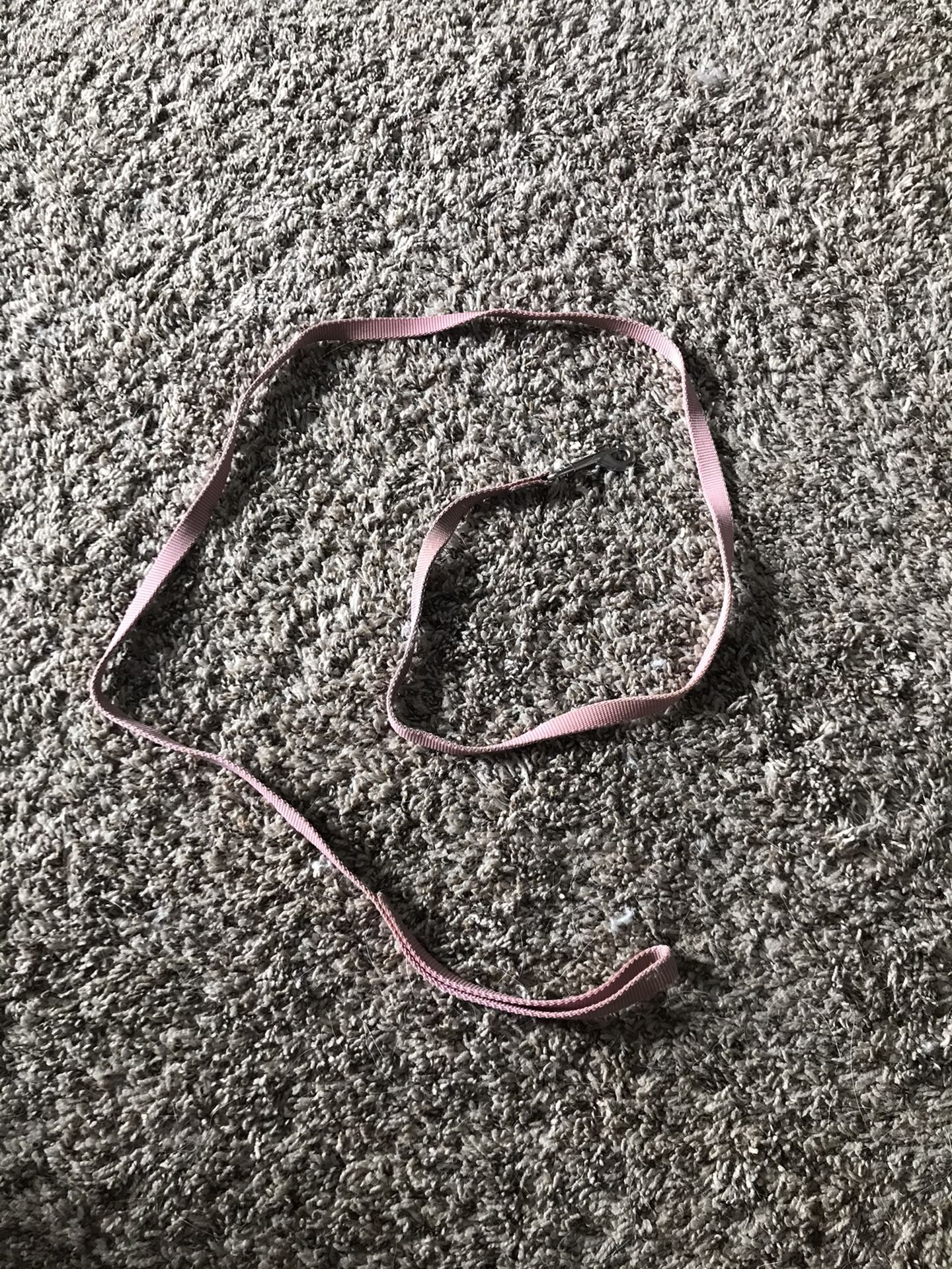 Pet Leash
