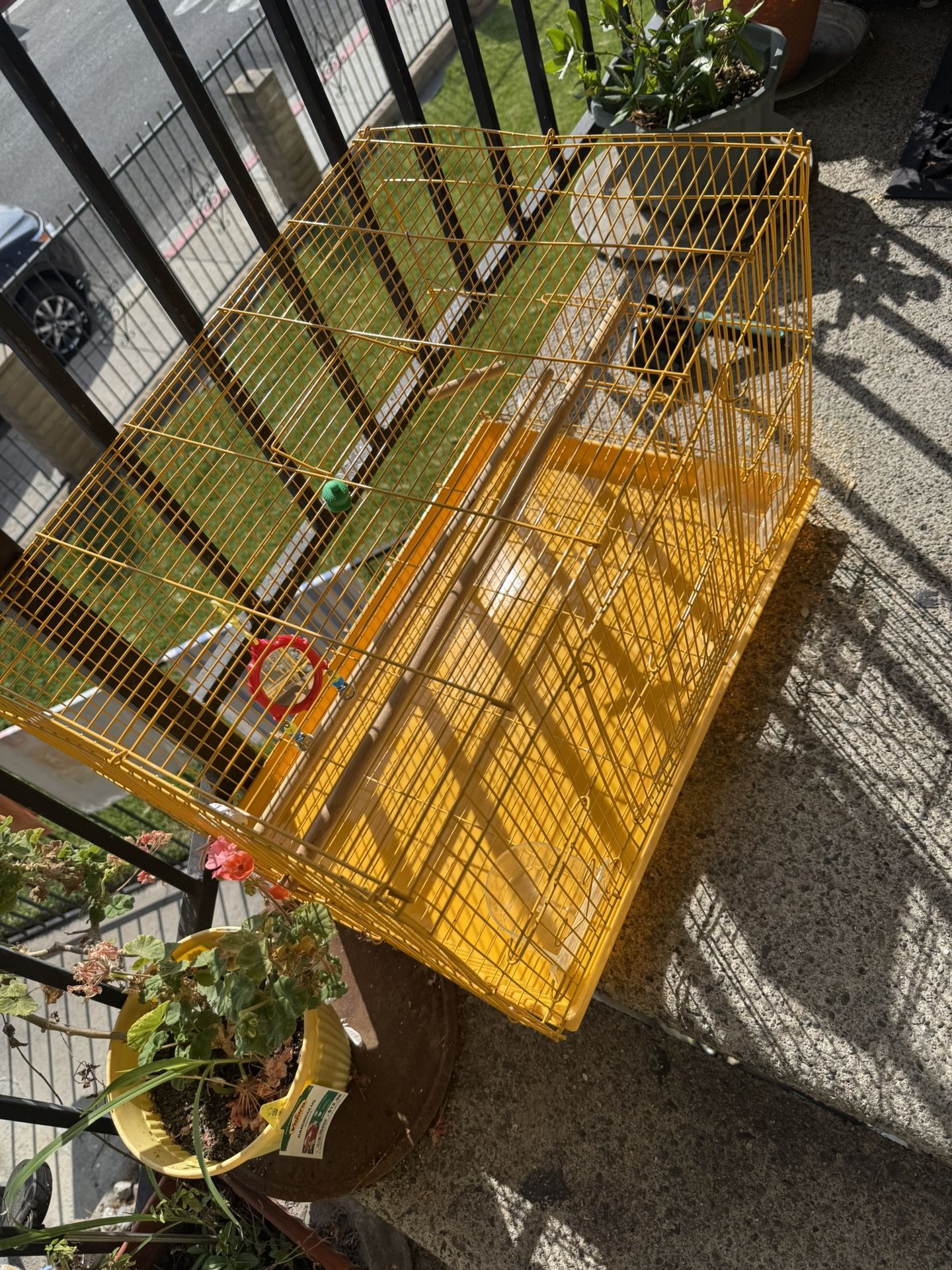 Bird Cage/ Jaula Para Pajaritos