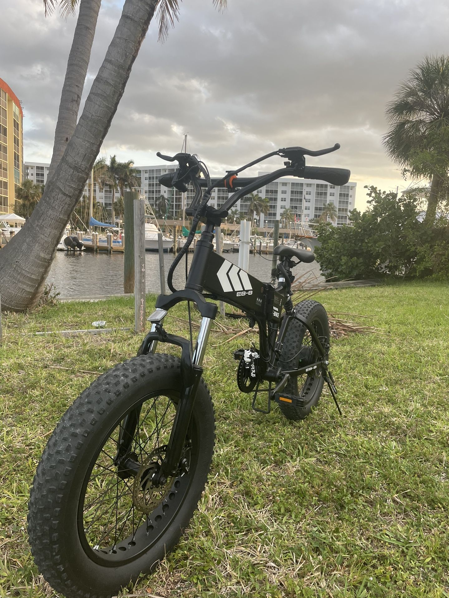 Electric Bike Swagtron Eb8