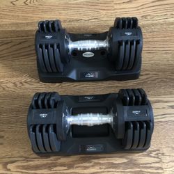 Flybird Adjustable Dumbbells Set (5-25lbs)