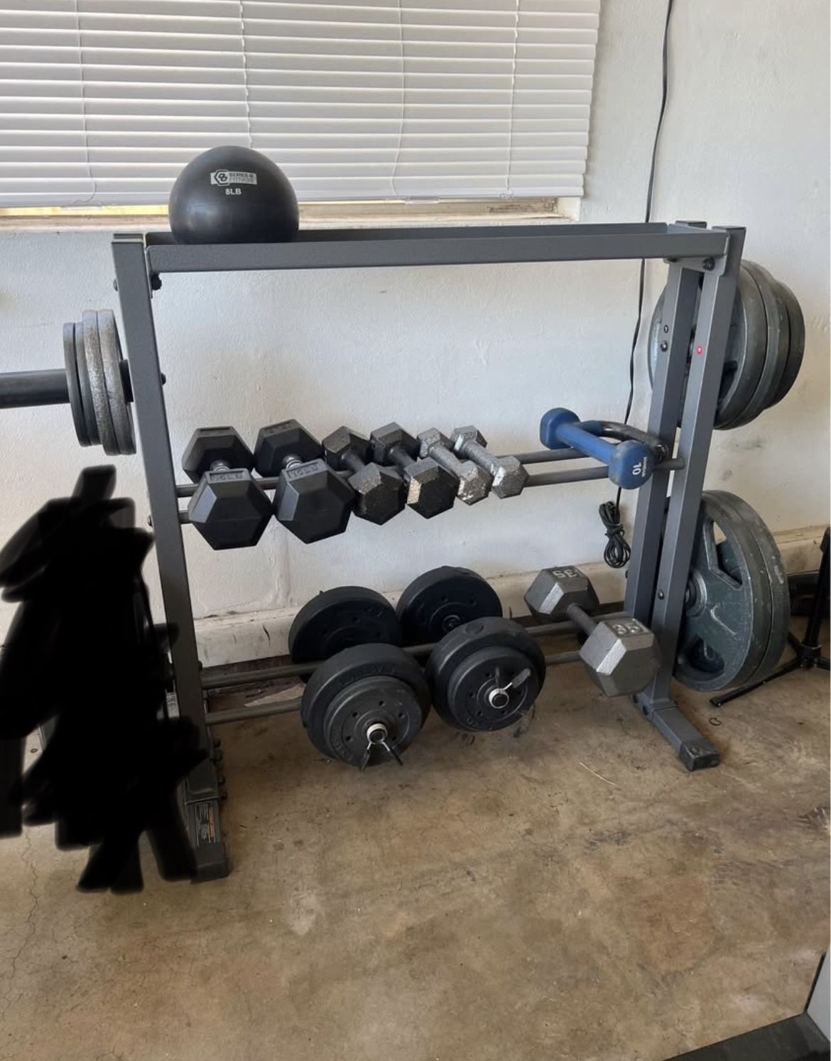 Weight Rack, Plates And Dumbbells