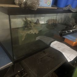 Aquarium And Fish Tank 