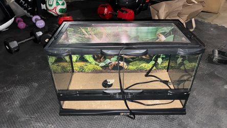 20 gal tank