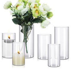 Cylinder Glass Vases 