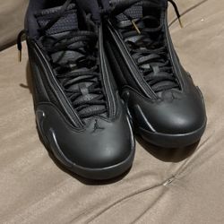 Jordan 14 XIV DMP 