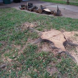 Stump grinding
