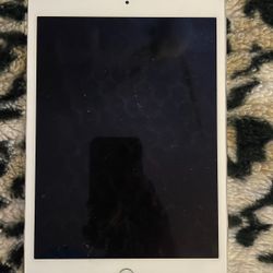 I Pad Mini 4             128 Gb