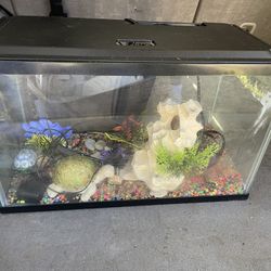 Glass Aquarium  10 Gallon 