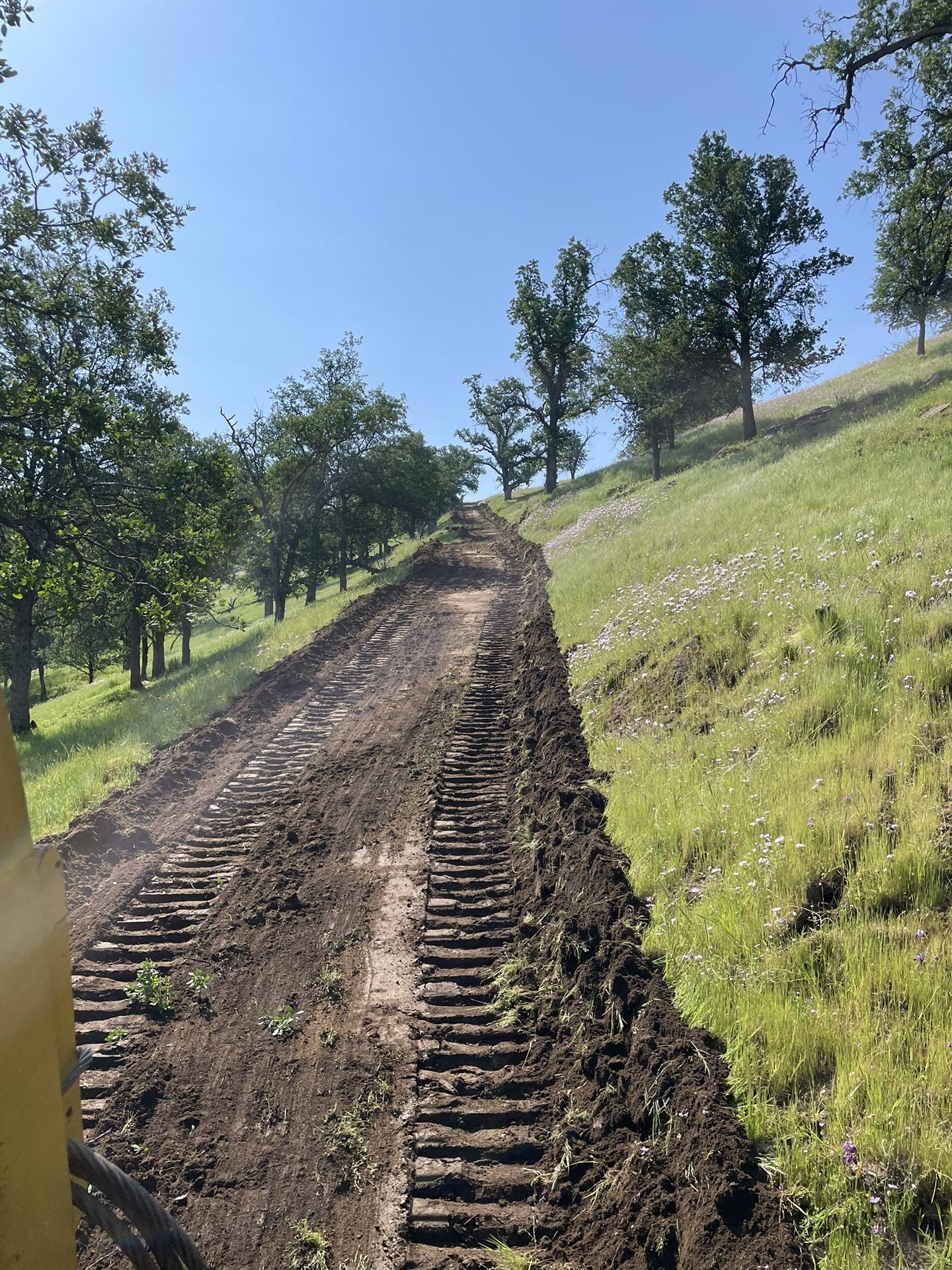 Rectors Dozer Work