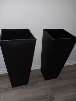 Plant holder