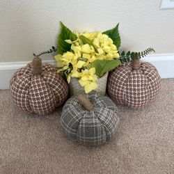 Fall Pumpkins And FAKE Plant