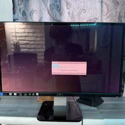21.5 Inch Dell Monitor